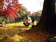 岡崎公園の紅葉